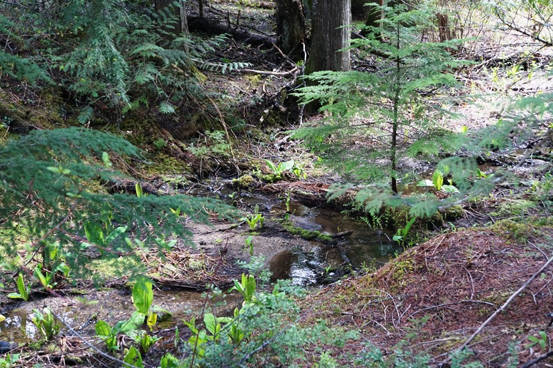 Begbie Falls