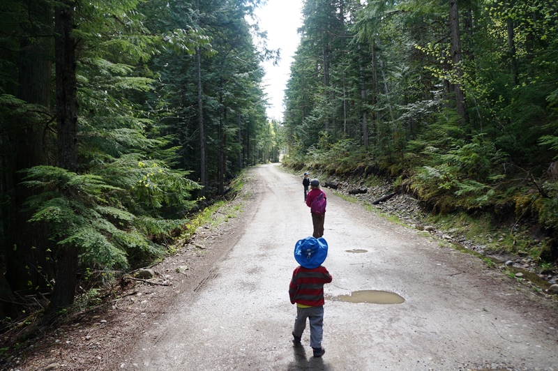 Begbie Falls